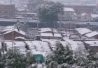 我的工作是什么